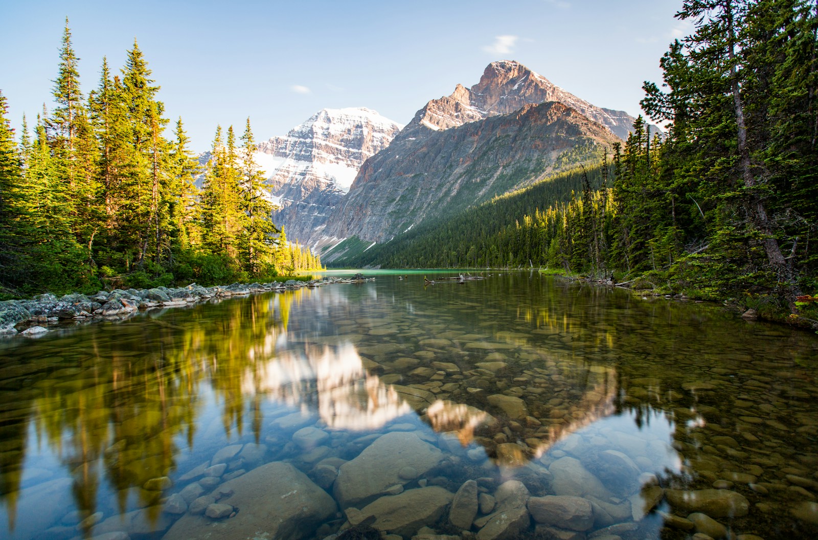 green trees near lake and mountain during daytime